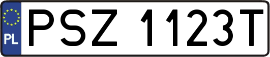 PSZ1123T