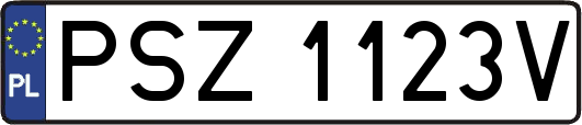 PSZ1123V
