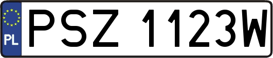 PSZ1123W