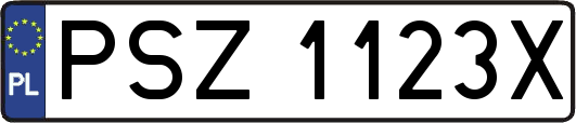 PSZ1123X