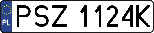 PSZ1124K