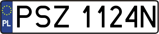 PSZ1124N
