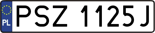 PSZ1125J