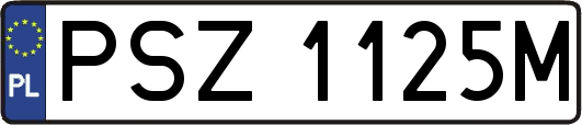 PSZ1125M