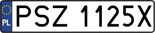 PSZ1125X