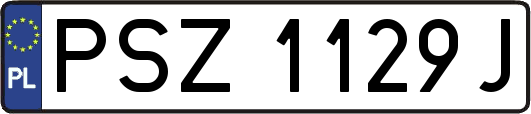 PSZ1129J