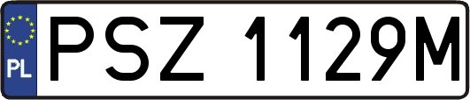 PSZ1129M