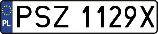 PSZ1129X