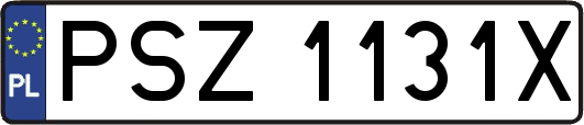 PSZ1131X