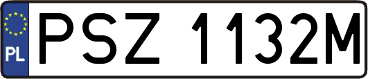 PSZ1132M
