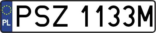 PSZ1133M