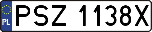 PSZ1138X