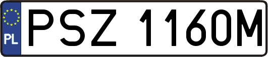 PSZ1160M