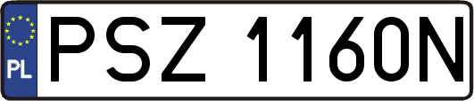 PSZ1160N