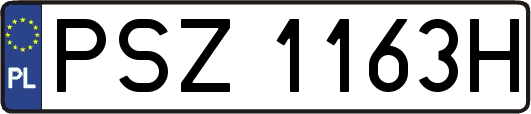 PSZ1163H