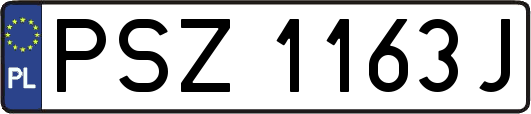 PSZ1163J