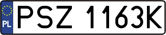 PSZ1163K