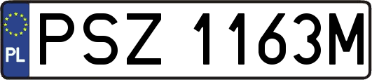 PSZ1163M