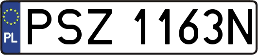 PSZ1163N