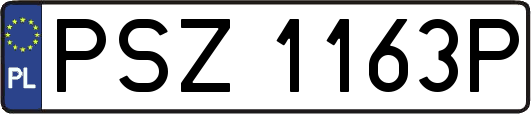 PSZ1163P