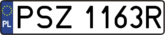 PSZ1163R