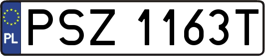 PSZ1163T
