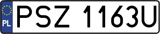 PSZ1163U