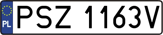 PSZ1163V