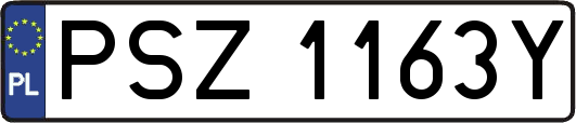 PSZ1163Y