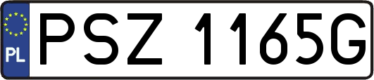 PSZ1165G