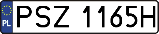 PSZ1165H