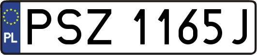 PSZ1165J