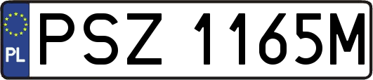 PSZ1165M