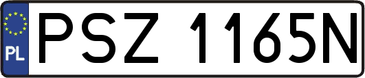 PSZ1165N