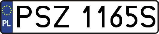 PSZ1165S