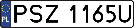 PSZ1165U