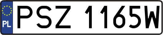 PSZ1165W