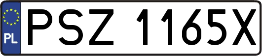 PSZ1165X