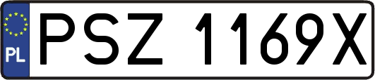 PSZ1169X