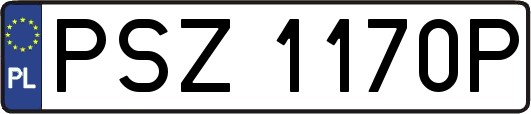 PSZ1170P