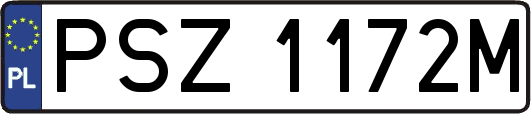 PSZ1172M