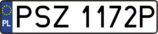 PSZ1172P