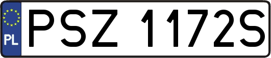 PSZ1172S