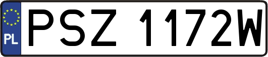 PSZ1172W