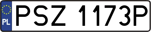 PSZ1173P