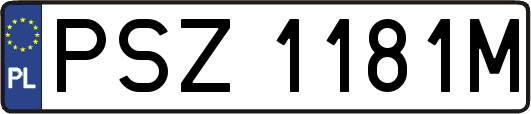 PSZ1181M
