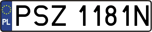 PSZ1181N