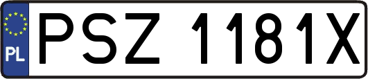 PSZ1181X