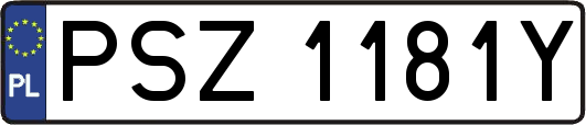 PSZ1181Y
