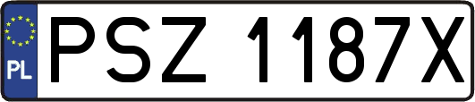 PSZ1187X